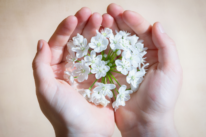 Onze belofte - symbolische foto handen met bloem