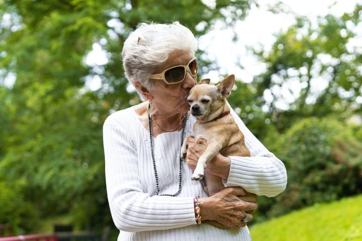 De voordelen van dierentherapie voor ouderen